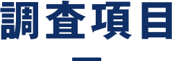 調査項目