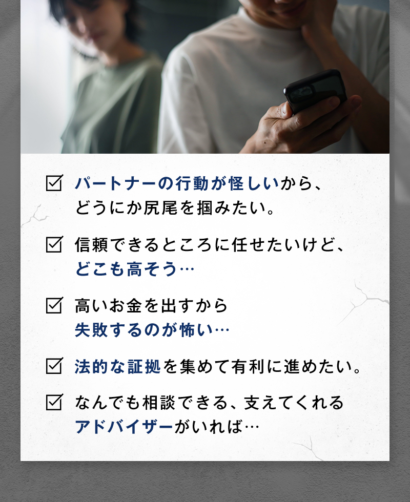 パートナーの行動が怪しい／どこも高そう／失敗するのが怖い／法的な証拠を集めたい／アドバイザーが欲しい