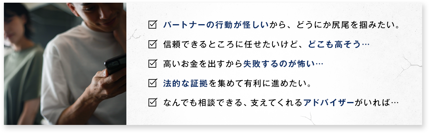 パートナーの行動が怪しい／どこも高そう／失敗するのが怖い／法的な証拠を集めたい／アドバイザーが欲しい